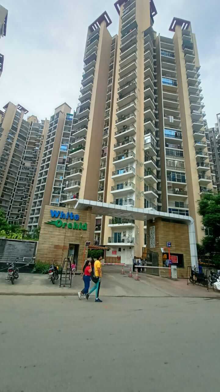 White Orchid : 2 BHK Flat for sale in Gaur City 2, Noida Extension 